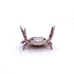 🤣 Funny Hot Sale - 🦀 Cute crab-shaped pen holder